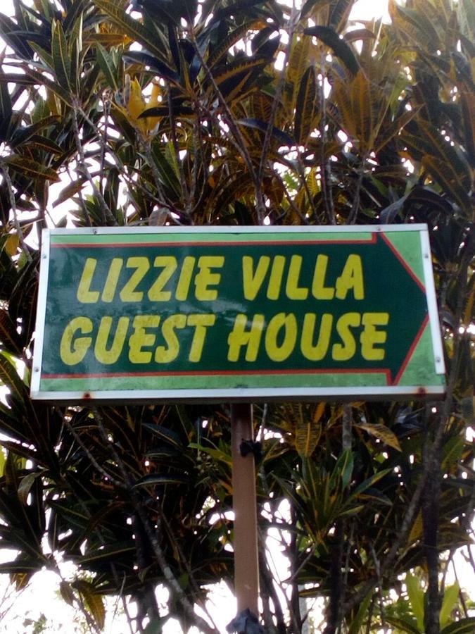 Lizzie Villa Guest House 埃拉 外观 照片